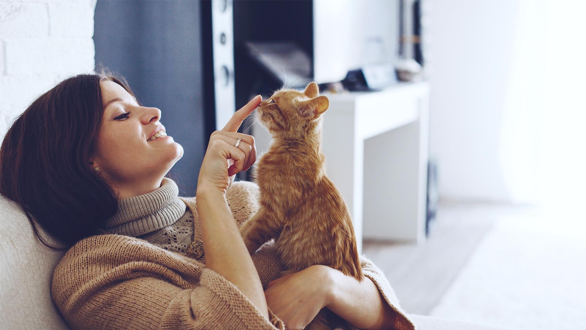 1920X1080_conseil_assurance_adopter_chat.jpg