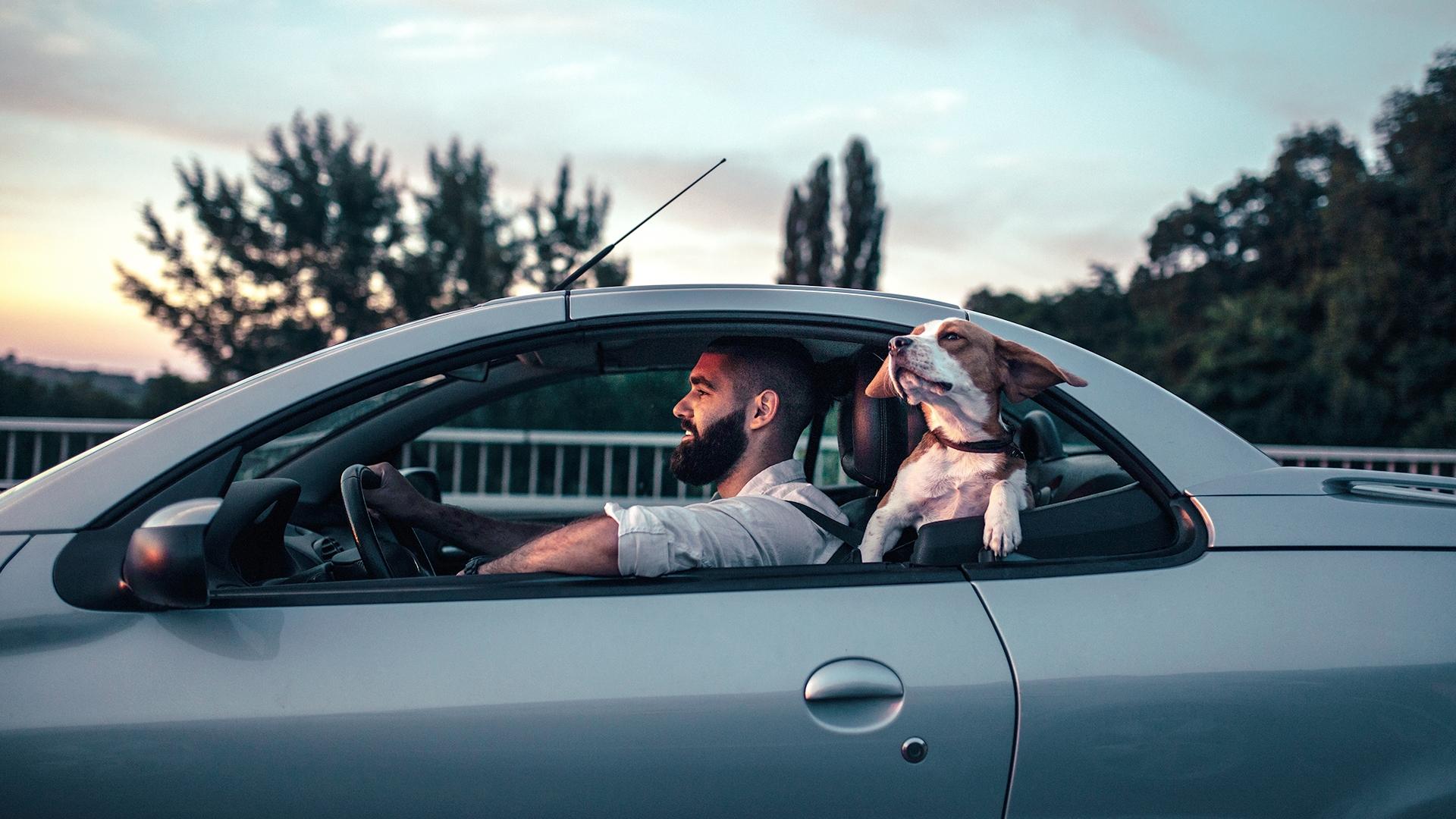 1920x1080-guide-des-services-homme-chien-voiture.jpg