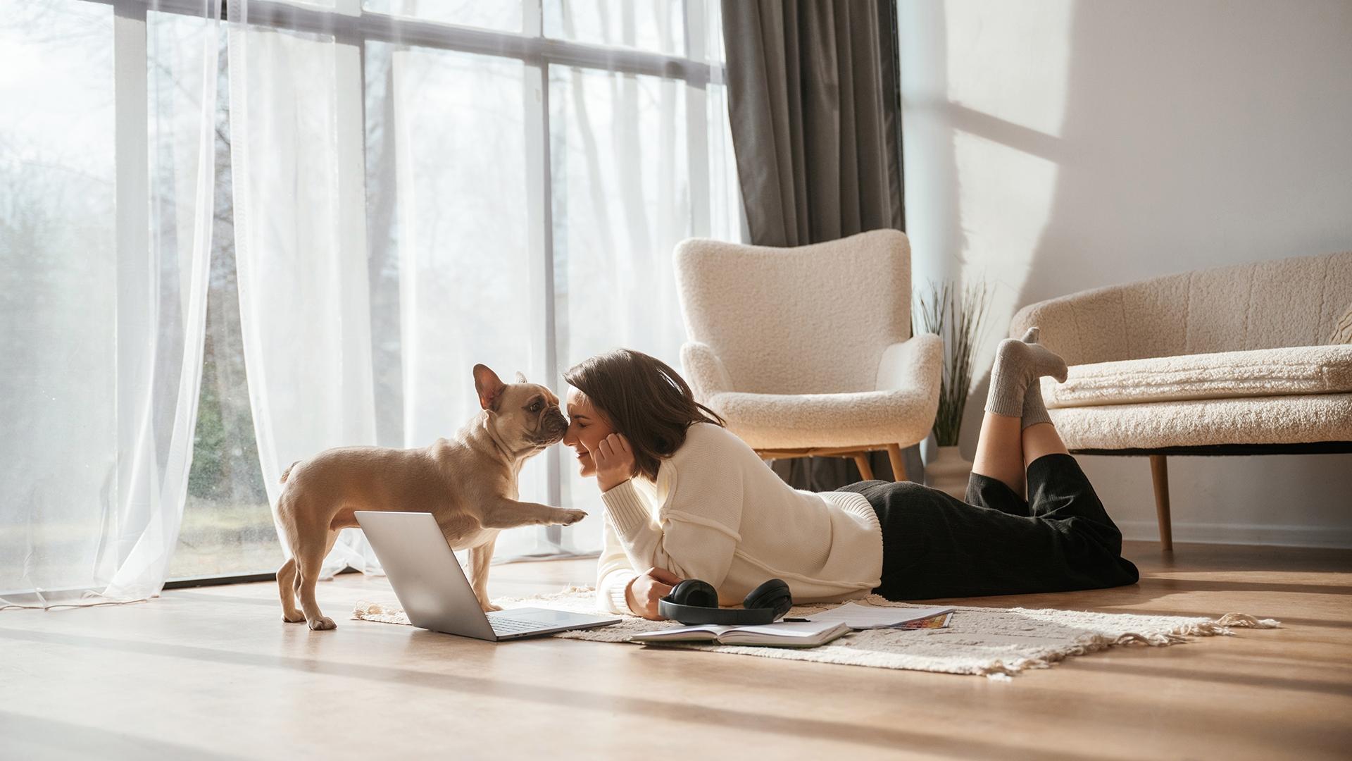 1920X1080_conseil_assurance_comment_assurer_animaux.jpg