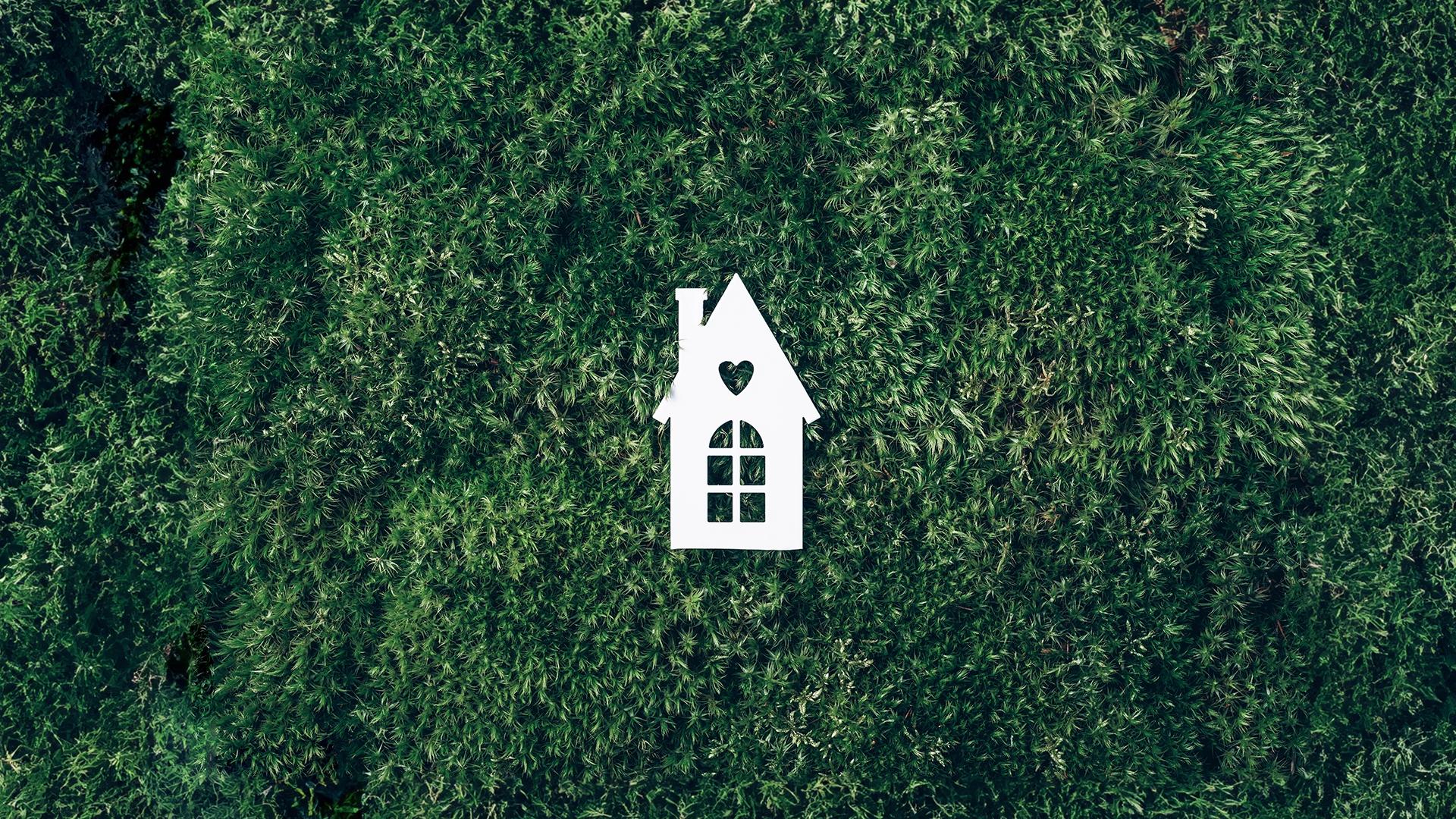 1920X1080_conseil_10_trucs_faciles_maison_plus_verte.jpg